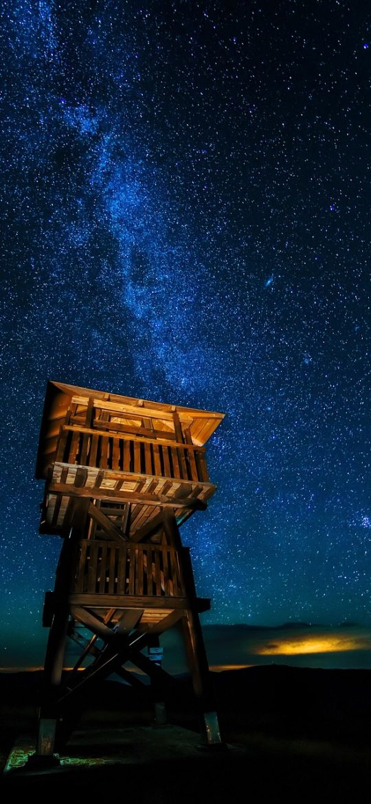 星露谷 App 首页界面，橄榄绿顶栏下排着季节作物卡片与今日待办，纸色背景上压着硬边阴影，画面干净克制